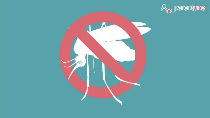 Dengue Fever Outbreak: Awareness, Symptoms & Prevention Tips