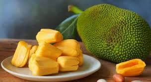 लहानग्यांना फणस (jackfruit bulbs) खायला देताना प्रमाण किती ठेवावे? रेसिपी आणि 9 फायदे 
