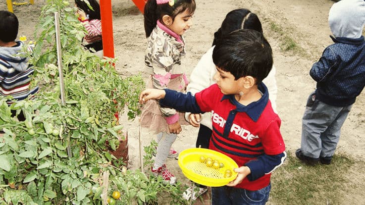 5 Benefits of Montessori education for your toddler!