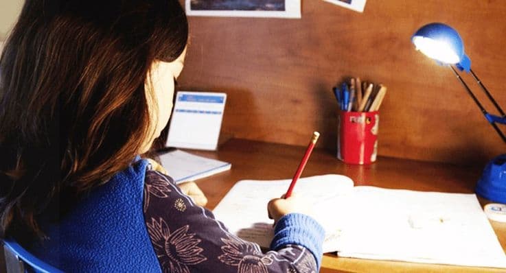 5 Study Smart Habits for Your Child