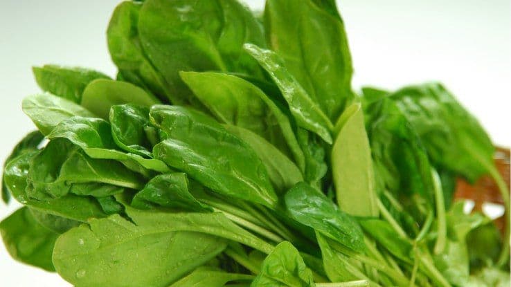 Spinach Allergy: Symptoms, Causes and Safe Alternatives | Spinach Intolerance Symptoms