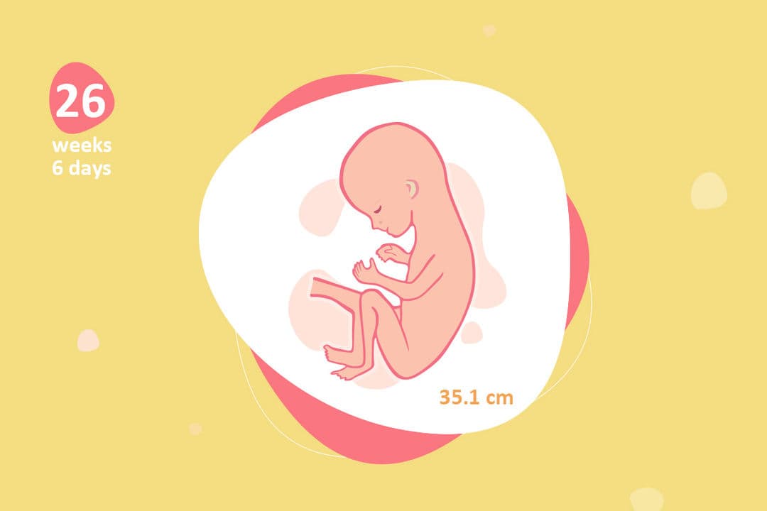 26 weeks and 6 days pregnant