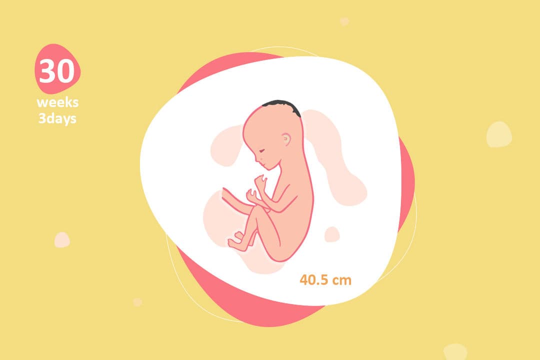 30 weeks and 3 days pregnant