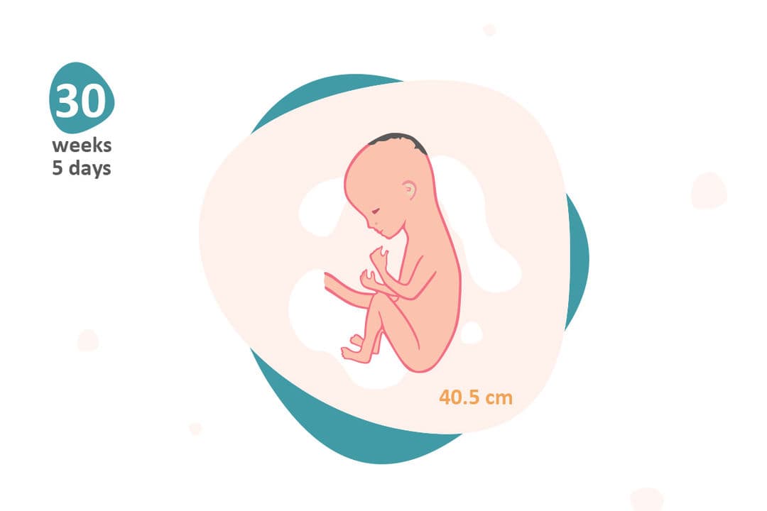 30 weeks and 5 days pregnant