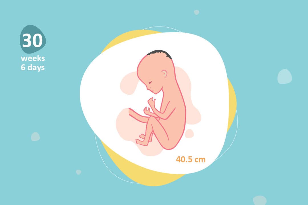 30 weeks and 6 days pregnant