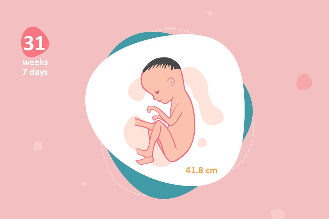 31 weeks and 7 days pregnant
