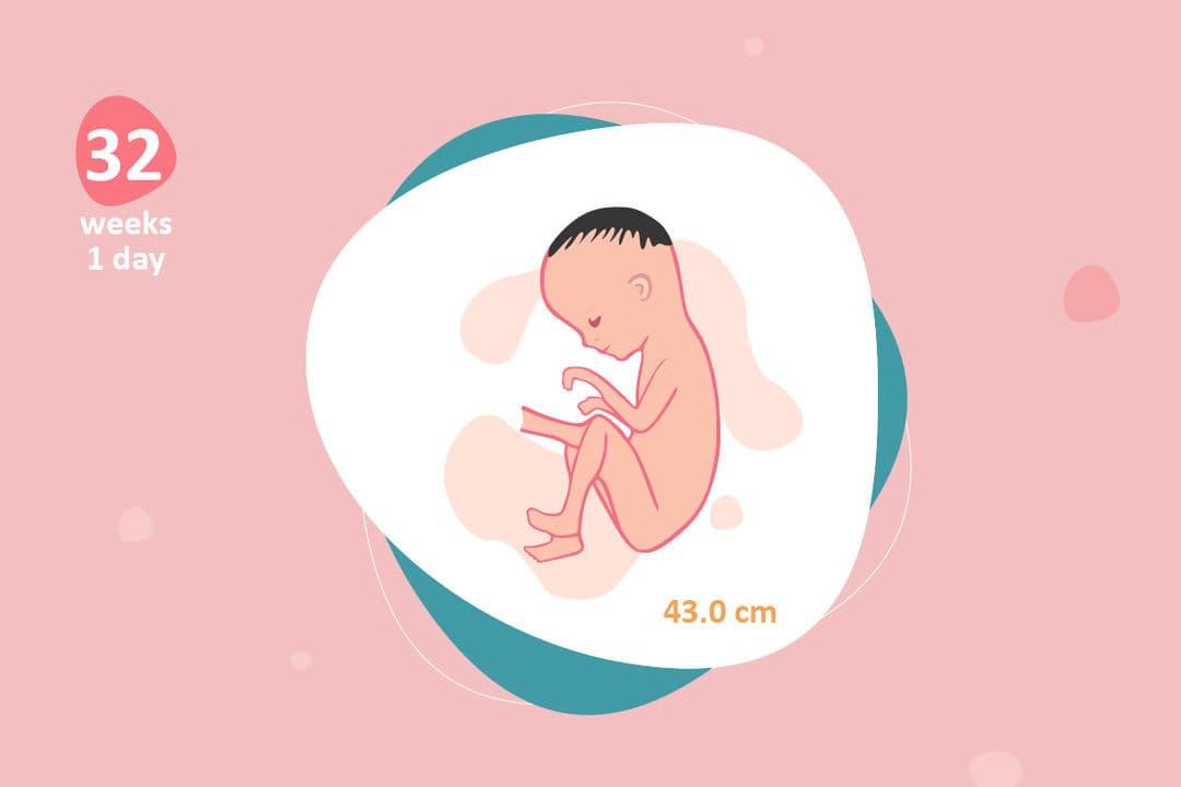 32 weeks and 1 day pregnant
