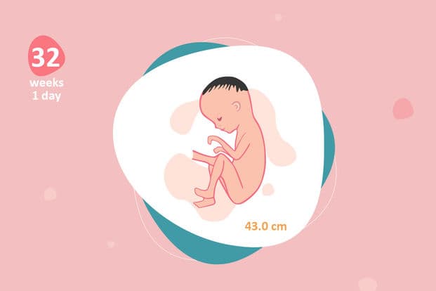 32 weeks and 1 day pregnant