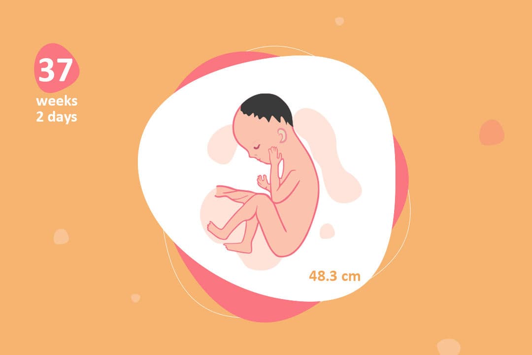 37 weeks and 2 days pregnant