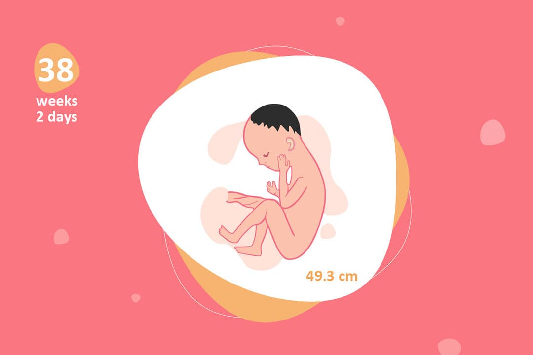 38 weeks and 2 days pregnant