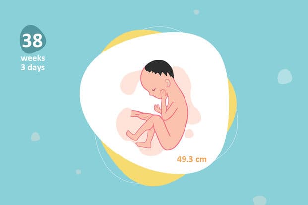 38 weeks and 3 days pregnant