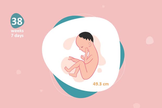 38 weeks and 7 days pregnant