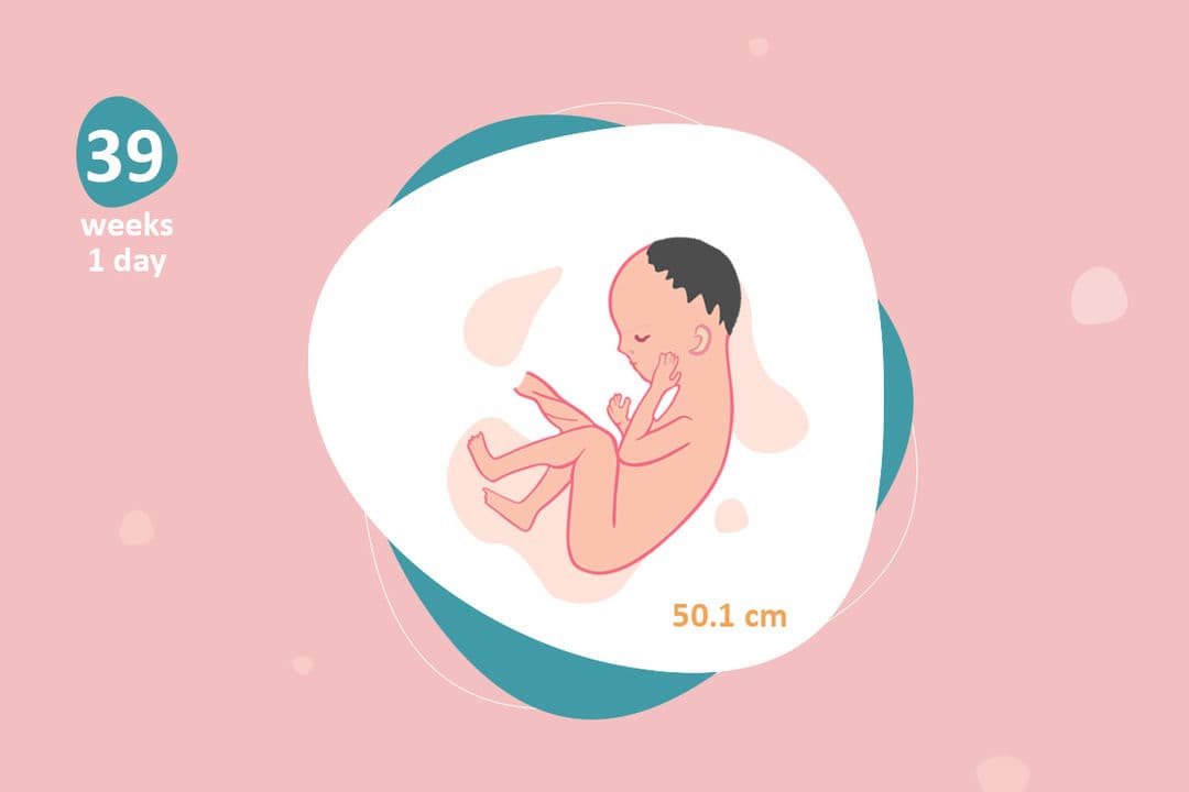 Ultrasound image at pregnancy week 39