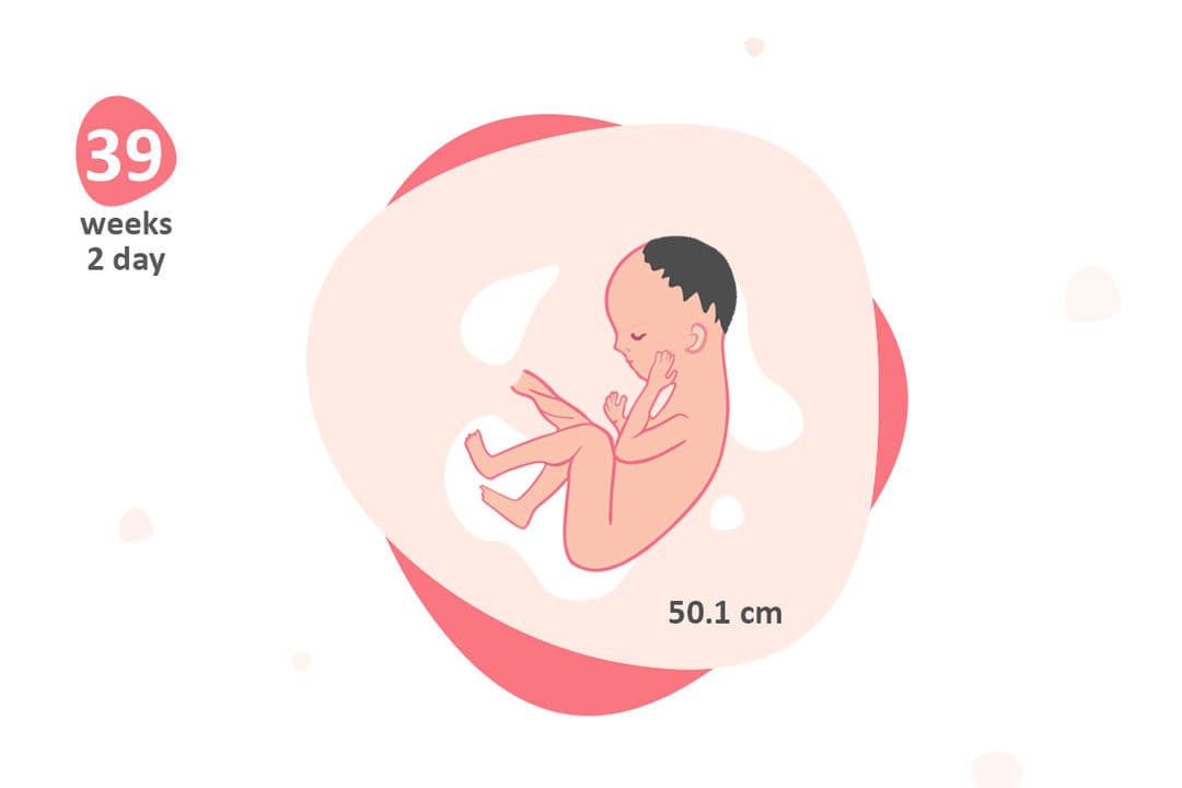 39 weeks and 2 days pregnant