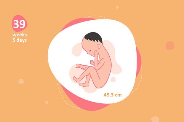 39 weeks and 5 days pregnant