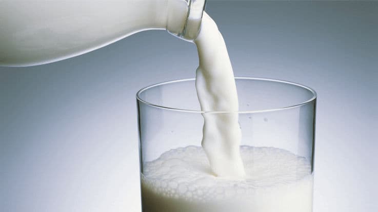 Why Milk Is The Powerhouse of Numerous Essential Nutrients?