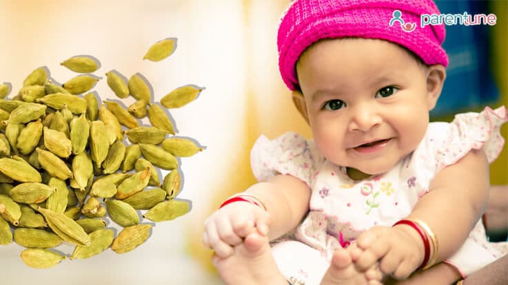 Benefits Of Cardamom For Your Baby