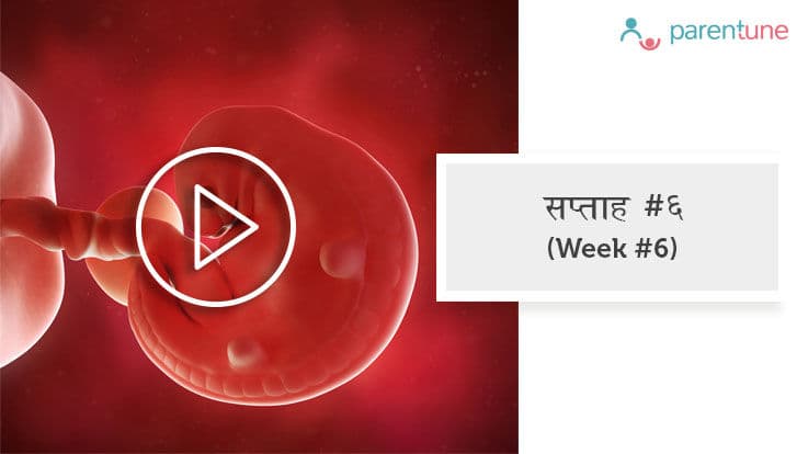 गर्भावस्था का 6वां सप्ताह