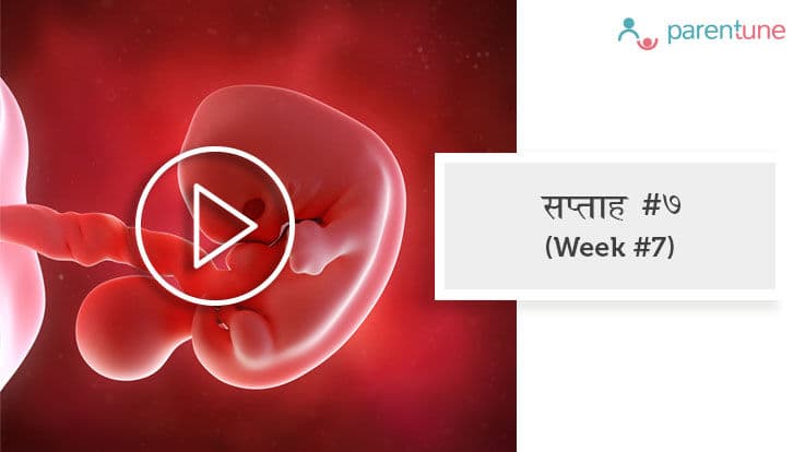 गर्भावस्था का 7वां सप्ताह 