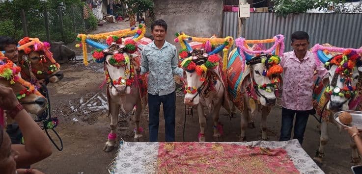 "पोळा" सण पद्धत, उद्देश, महत्व आणि पौराणिक कथा