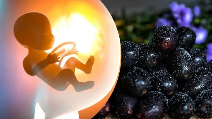 Is Jamun Safe For Pregnancy?
