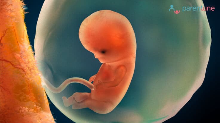 What Is Umbilical Cord Cells & Should I Hold It for Future Uses?