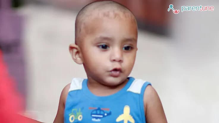 Weight Gain Foods For Your Toddler