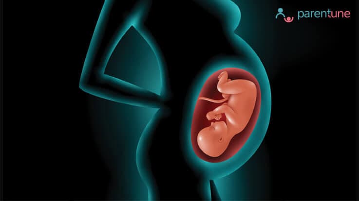 baby hiccups in the womb