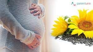 गरोदरपणात सूर्यफुलाच्या बिया खाण्याचे चमत्कारी फायदे!! 