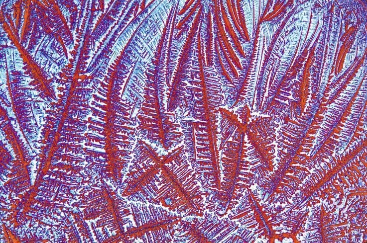 Menstrual Cycle - Week 2 - Day 3