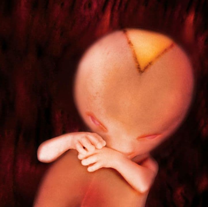 11 weeks and 6 days pregnant