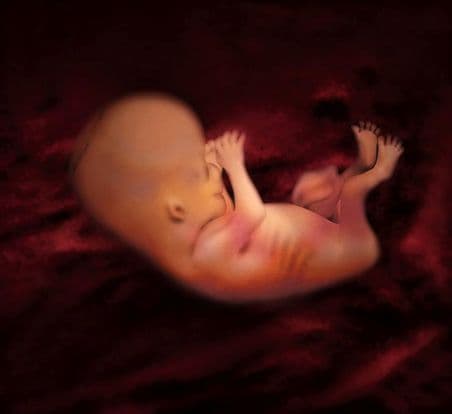 12 weeks and 6 days pregnant