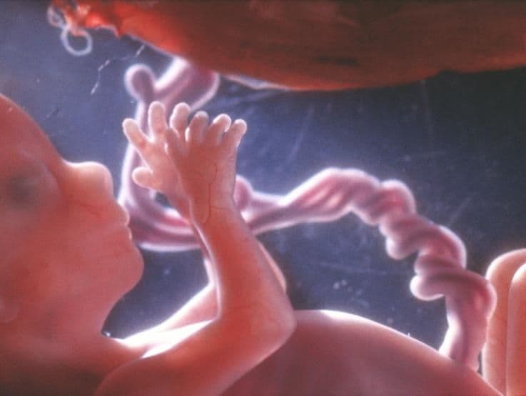 14 weeks and 1 day pregnant