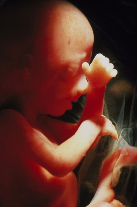 16 weeks and 6 days pregnant