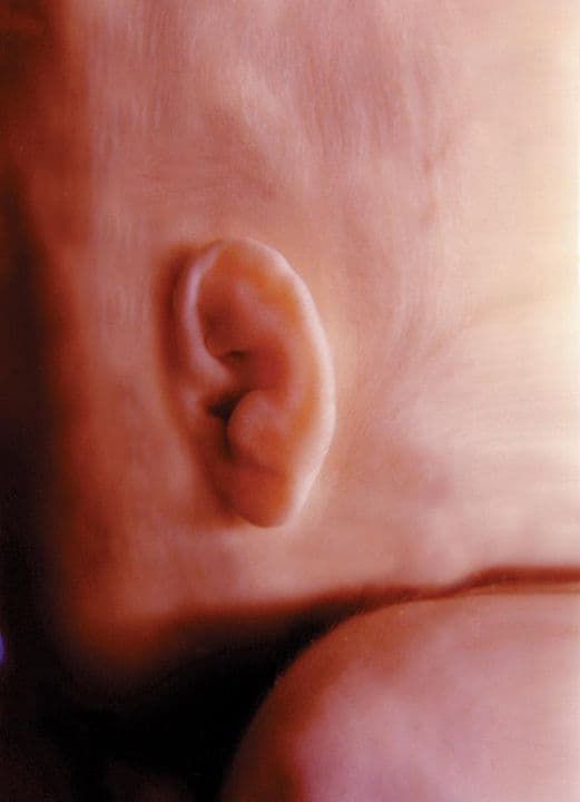 17 weeks and 7 days pregnant