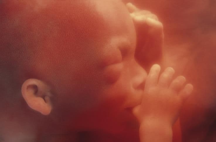 19 weeks and 7 days pregnant