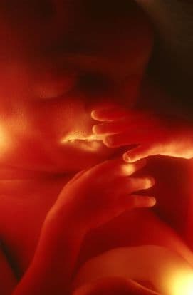 22 weeks and 5 days pregnant
