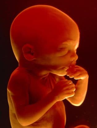 24 weeks and 5 days pregnant