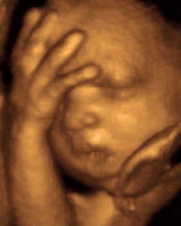 29 weeks and 7 days pregnant
