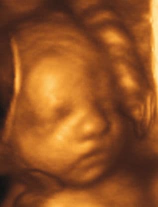 30 weeks and 2 days pregnant