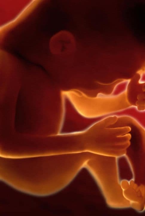 34 weeks and 2 days pregnant