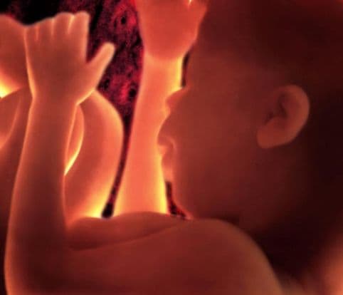 36 weeks and 4 days pregnant