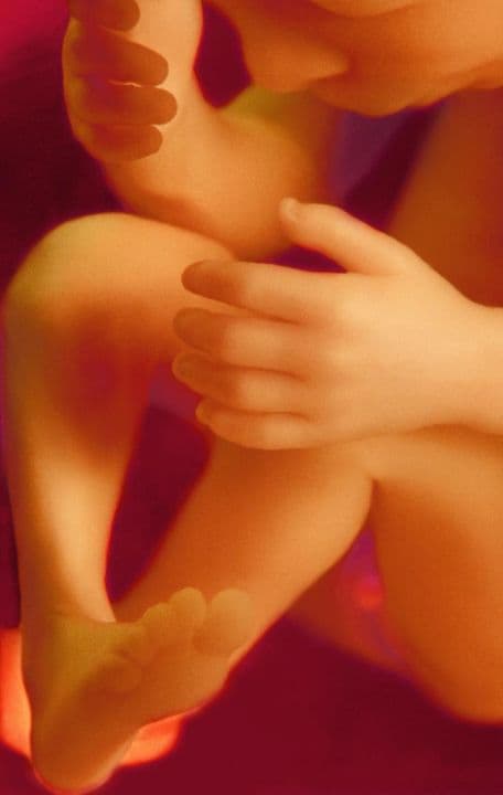 37 weeks and 3 days pregnant