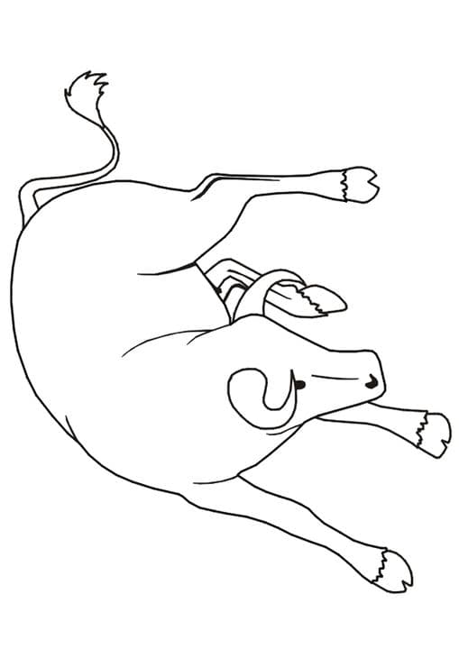 Aggressive Bull