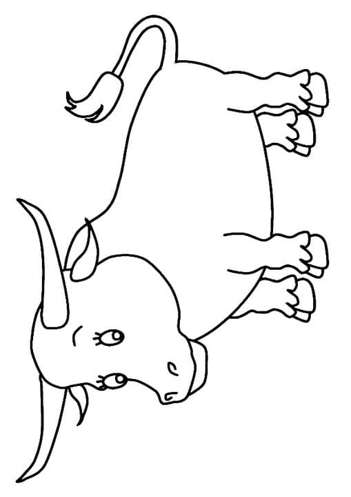 Snorting Bull