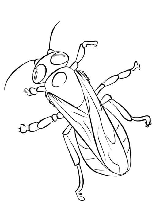 Crawling Bee