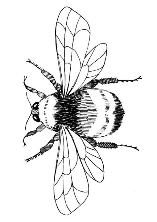 Flying Bee