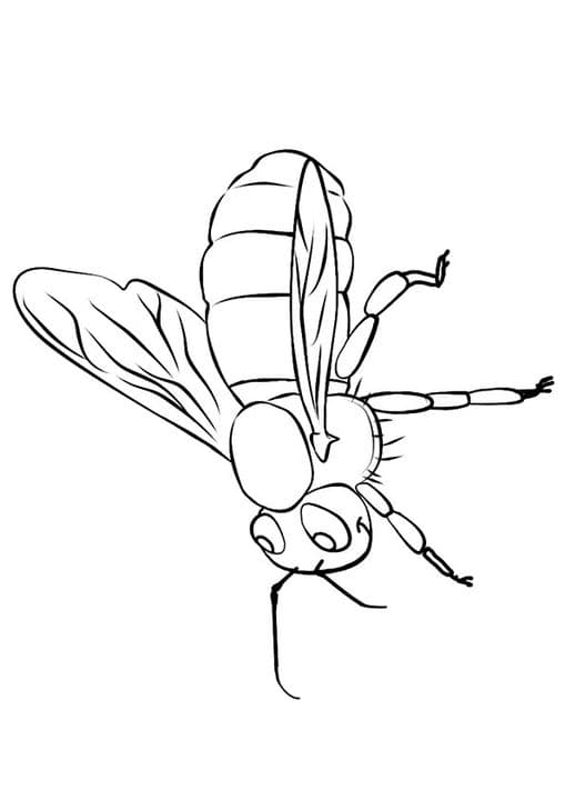 Moving Bee