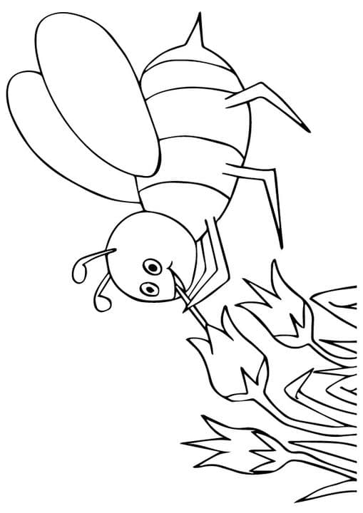 Cartoon Bee