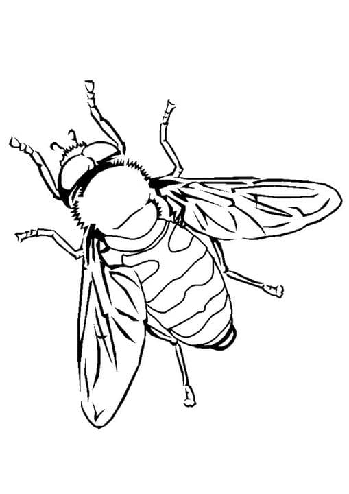 Simple Bee